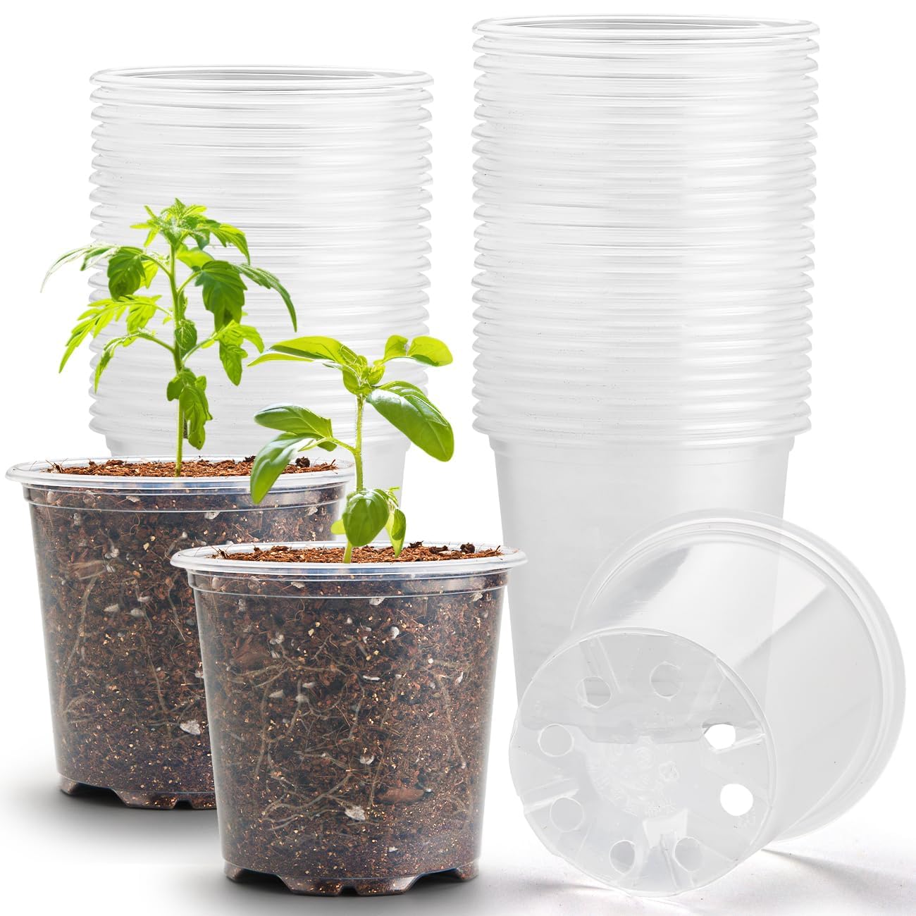 3.5" Clear Seeding Pots 100-Pack Round for Seeds Starter Pots, Seeds Germination Transparent Nursery Pots with Drainage Holes (100PCS)