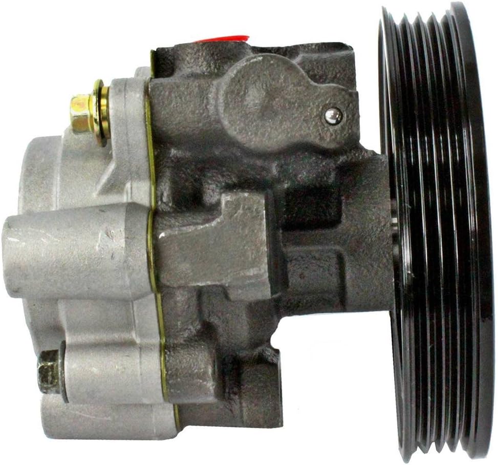 DNJ PSP1254 NEW Power Steering Pump for 1998-2002 Nissan 200SX Sentra 1.6L-1.8L L4 16V DOHC 1597cc