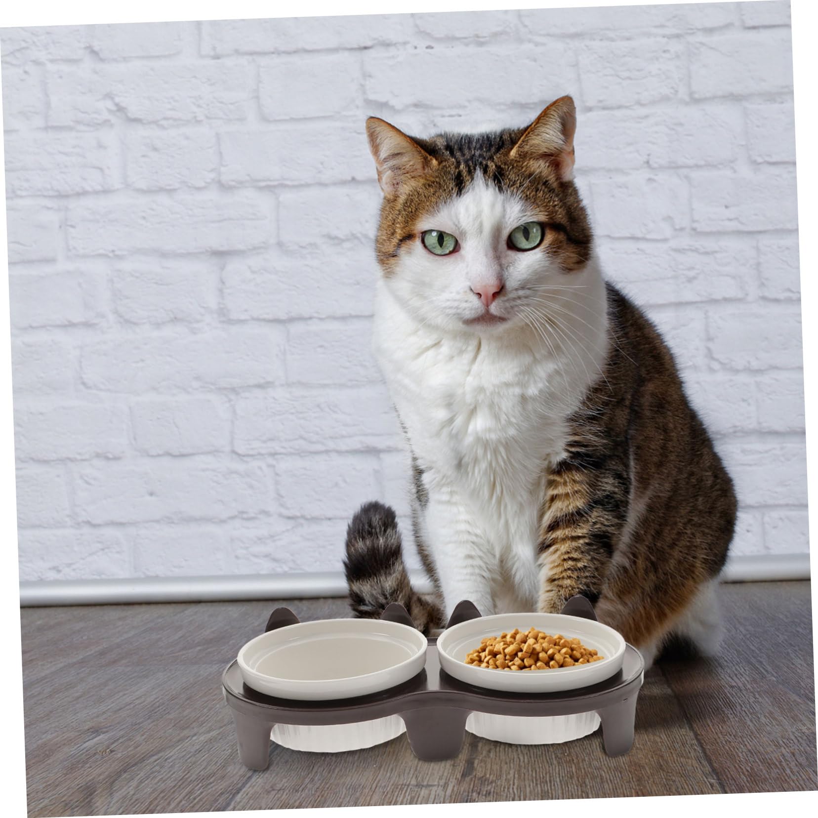 UKCOCO Gamelle pour Chat Céramique Antidérapante Pratique pour Nourrir Chat et Chaton avec Support Solide et Facile à Nettoyer