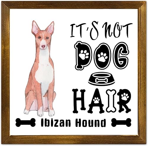 Vista 188 de Letrero de madera con texto en inglés «It's Not Dog Hair» («It's Not Dog Hair» American Bully Dog Dog), regalo decorativo para la pared del hogar