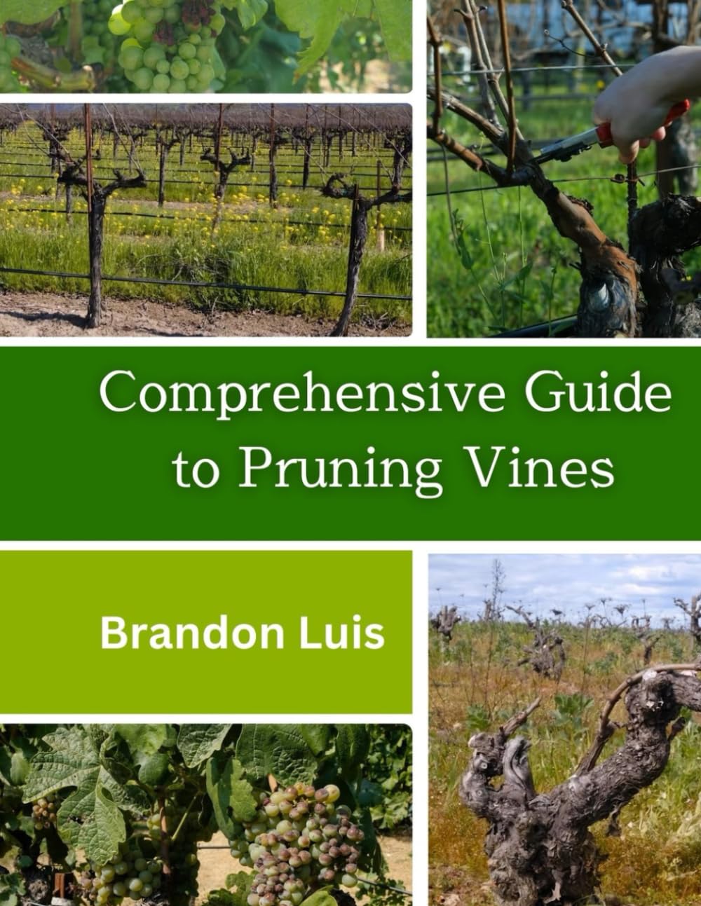 COMPREHENSIVE GUIDE TO PRUNING VINES Pruning process for different