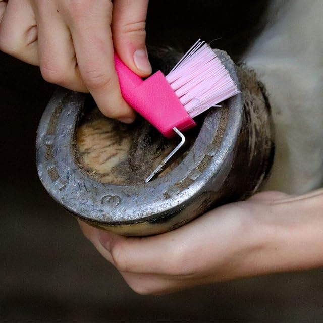 Foto 4 de 4 de Animalon,Rascador de herradura para niños,Picker inoxidable,Rascador ergonómico y antideslizante,Rascador…