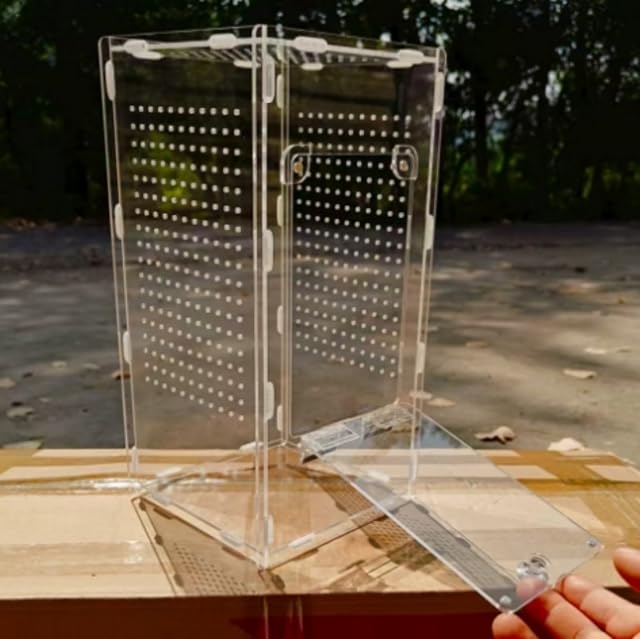 Foto 4 de 6 de Terrario para Arañas Saltarinas,Habitáculo Acrílico para Arañas y Tarántulas