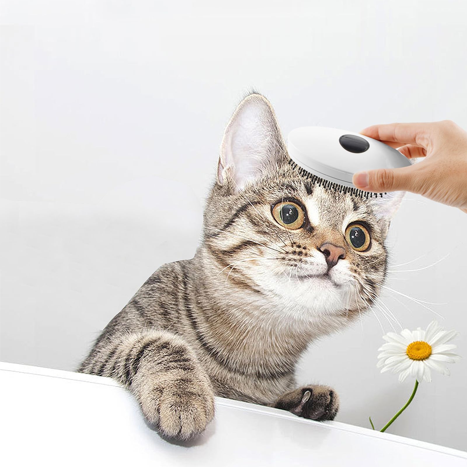 Spazzola a vapore per gatti per toelettatura di animali domestici Spazzola a vapore per gatti Comoda spazzola a vapore per gatti Pettine compatto per gatti Pettine spray per gatti Spazzola a