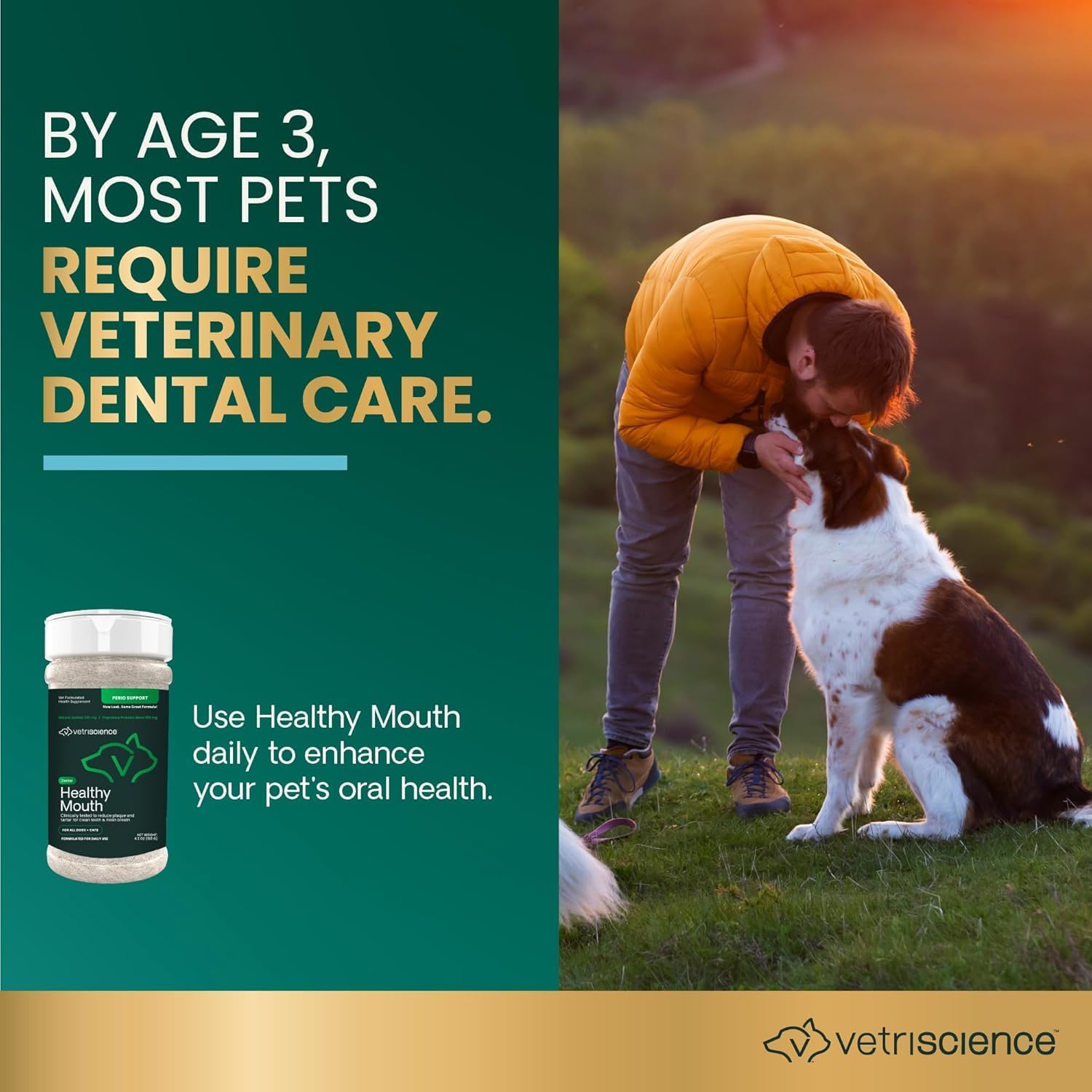VetriScience Healthy Mouth Dog Dental Powder, 2 Pack – Helps Reduce Plaque & Tartar Buildup, Support Clean Teeth & Fresh Breath, Vet-Formulated Oral Care Powder for Dogs & Cats, 2 x 4.2 oz