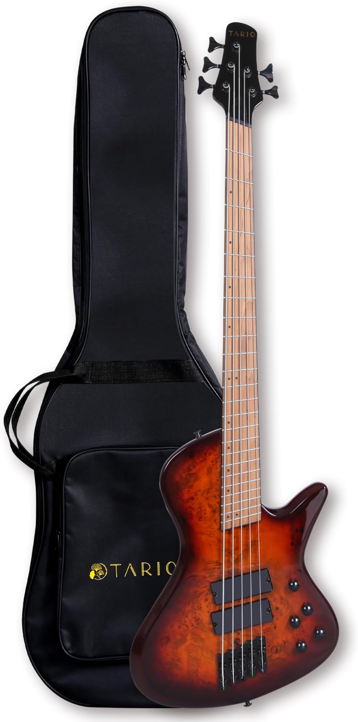 5 string multiscale bass Clearance