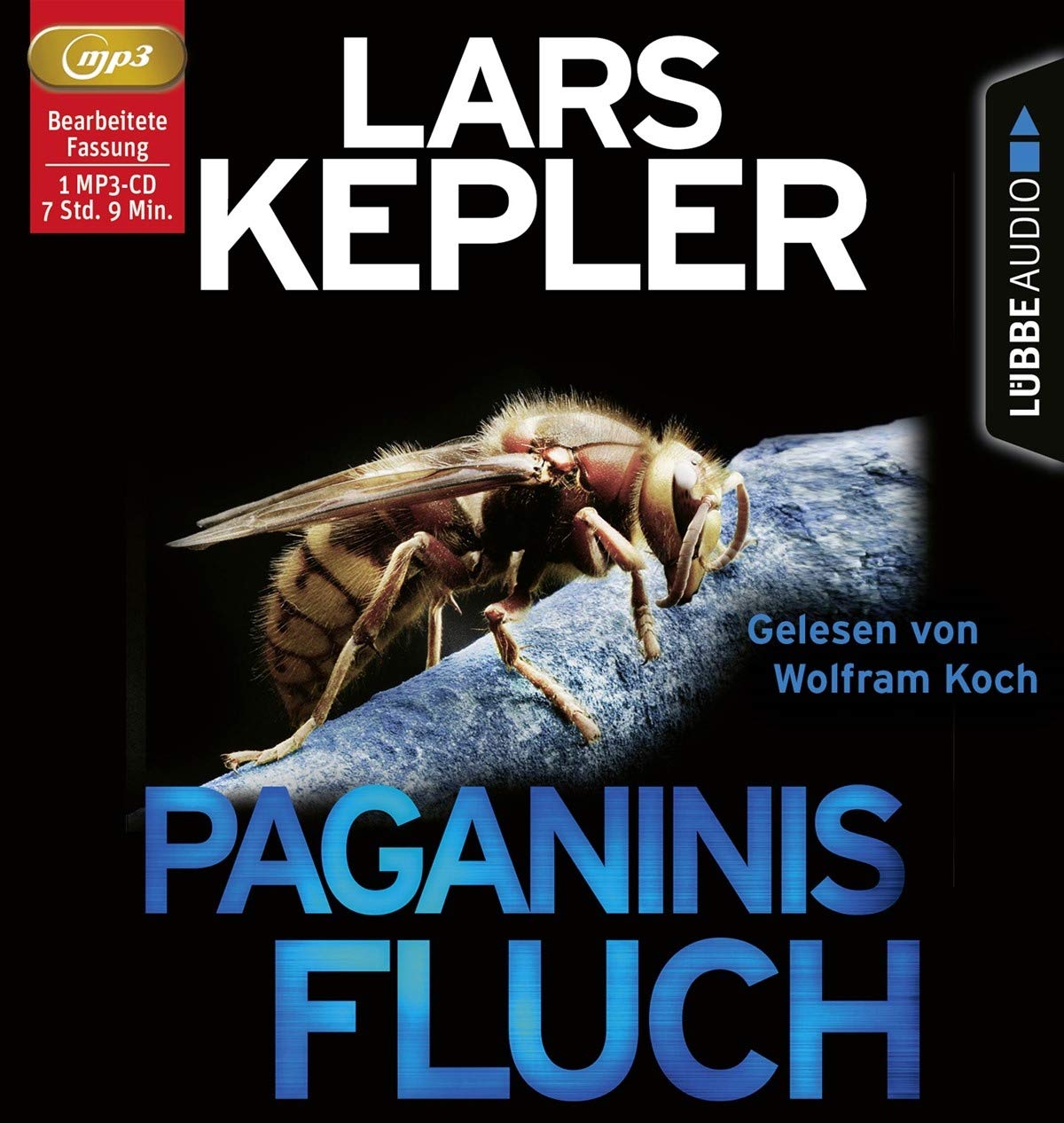 Paganinis Fluch: Schweden-Krimi. .
