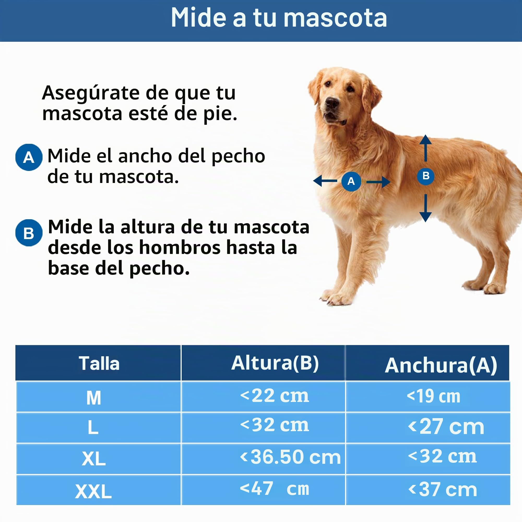 CEESC Puerta para Perros Grande con Solapa magnética Transparente Suave y Panel de Cierre a presión, Puerta de plástico de PVC de Primera Calidad para Mascotas para Perros Grandes (XL, Blanco)
