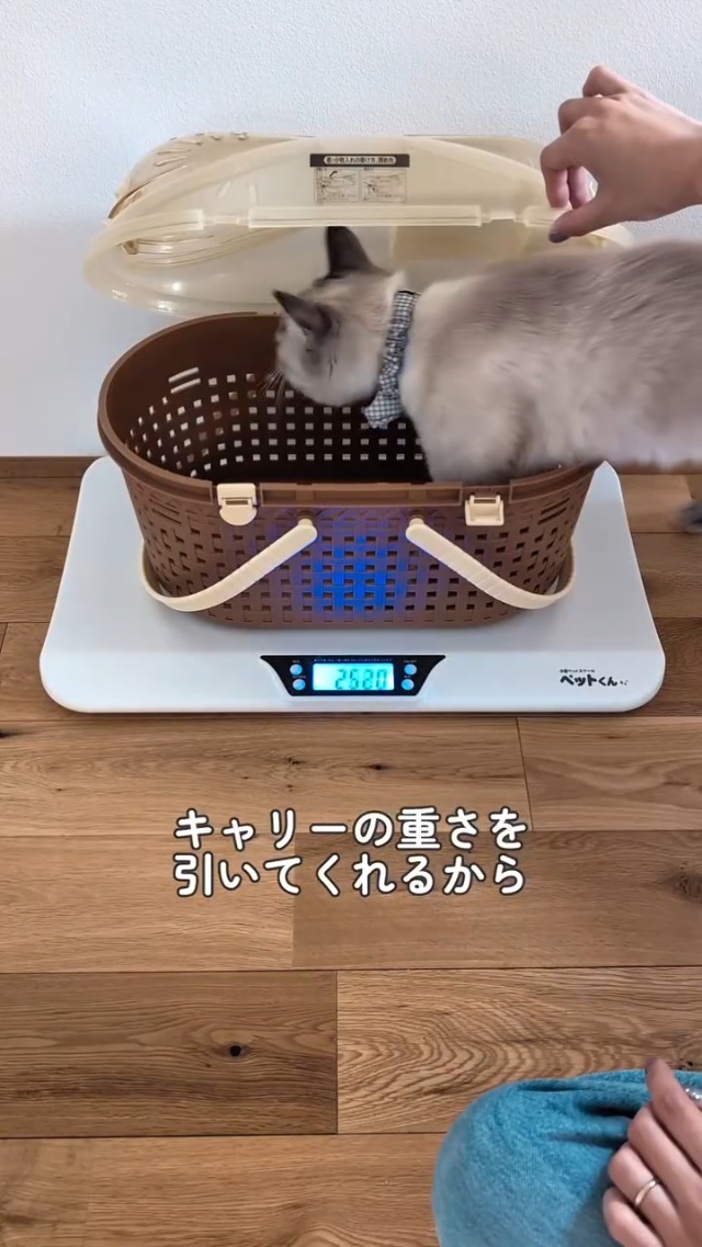 最大20kg 5g単位 小型 体重計 ペット デジタル Amazon.co.jp: ペット 体重計 ペットくん 5g単位 最大20kg 小型