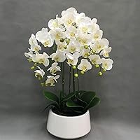 Vista 5 de SOSSEG Flores artificiales bonsái de orquídea artificial con jarrón arreglos florales orquídeas artificiales de seda para mesa sala de estar