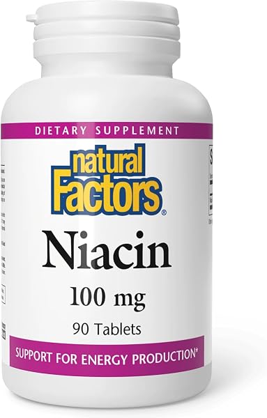 Natural Factors Vitamin B3 100mg Tablets