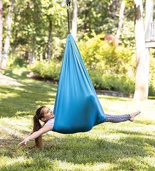 即購入OK‼️ SWINGASOUL 2NDPRESS Amazon.com: Hearthsong 5-Foot Stretchy Loop Sensory Swing