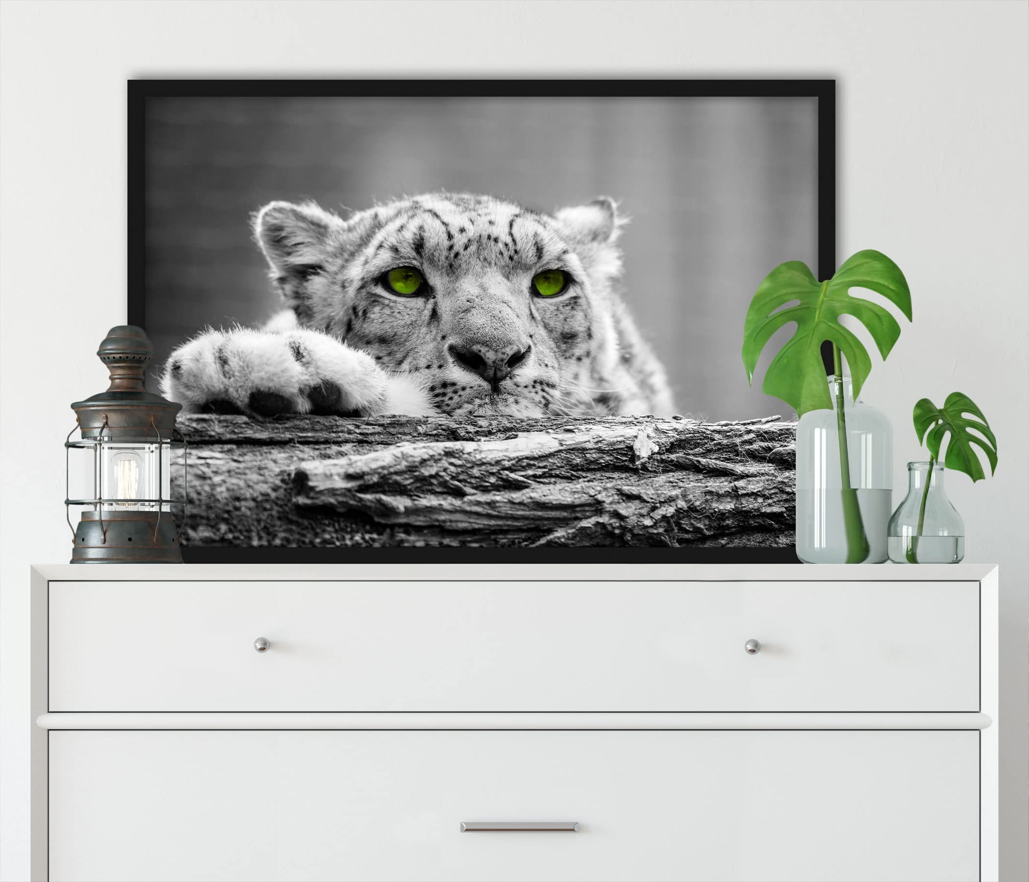 Bellissimo ghepardo con occhi verdi, poster in cornice, formato: 100 x 70 cm, stampa artistica incorniciata