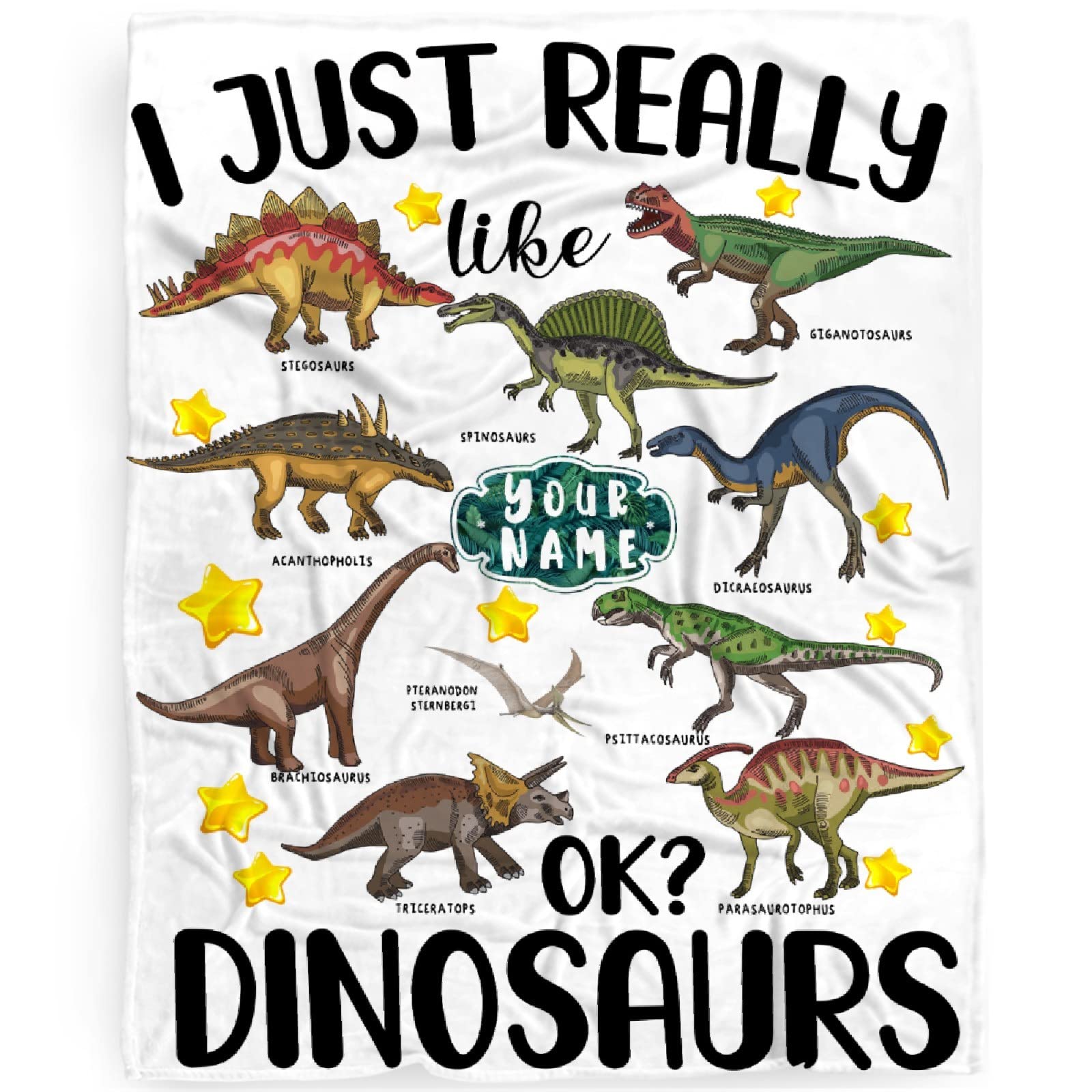 I Just Really Like Dinosaurs Personalized Blanket Custom Dinosaur Blanket
