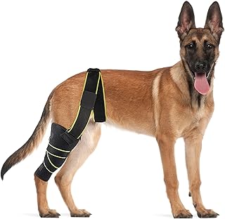 PETNEDO Dog Knee Brace, Knee Cap Dislocation for Prain Acl, Ccl, Arthritis - Keeps The Joint Warm and Stable, Extra Suppor...
