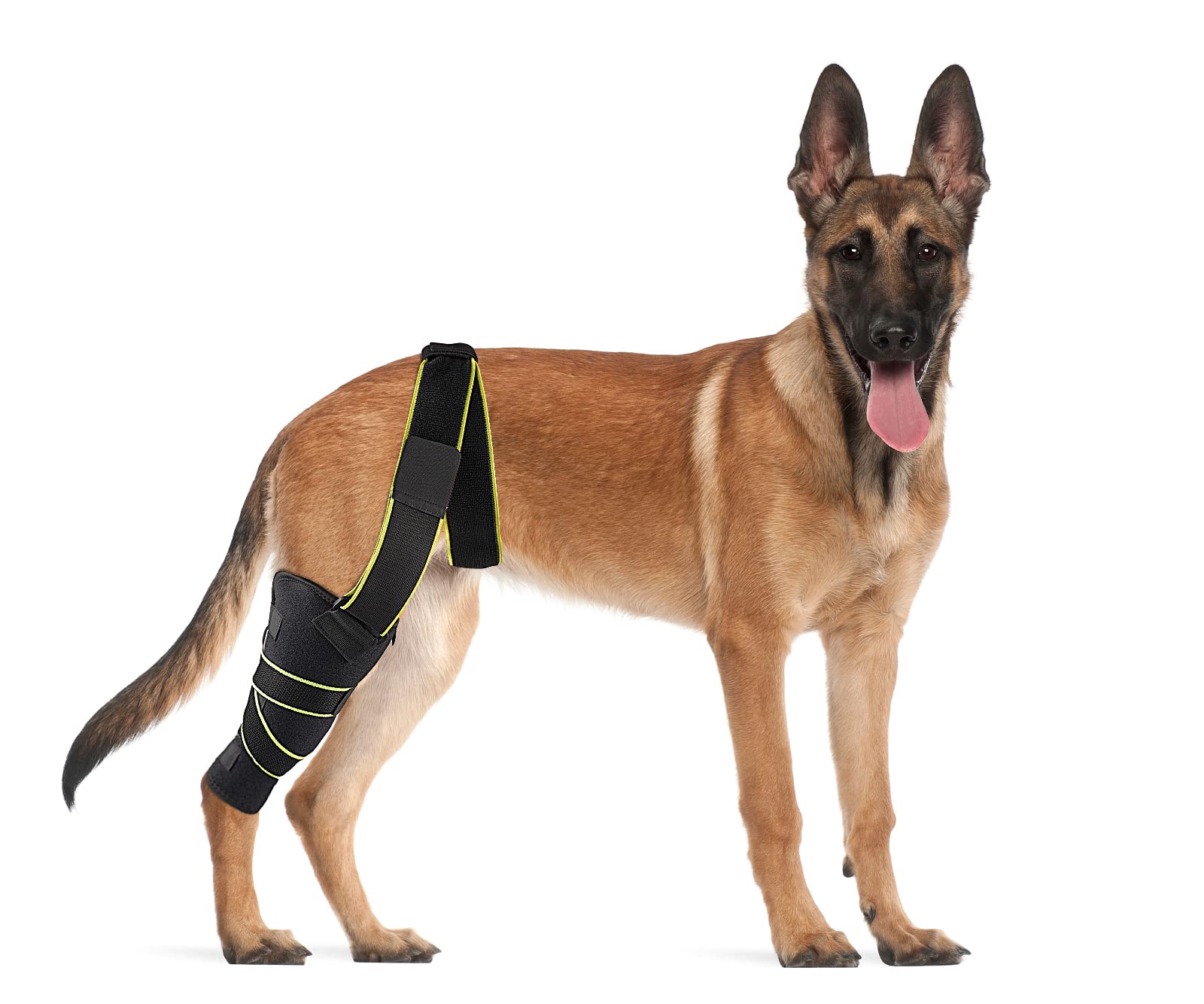 Petnedo Dog Knee Brace, Knee Cap Dislocation For Prain ACL, CCL