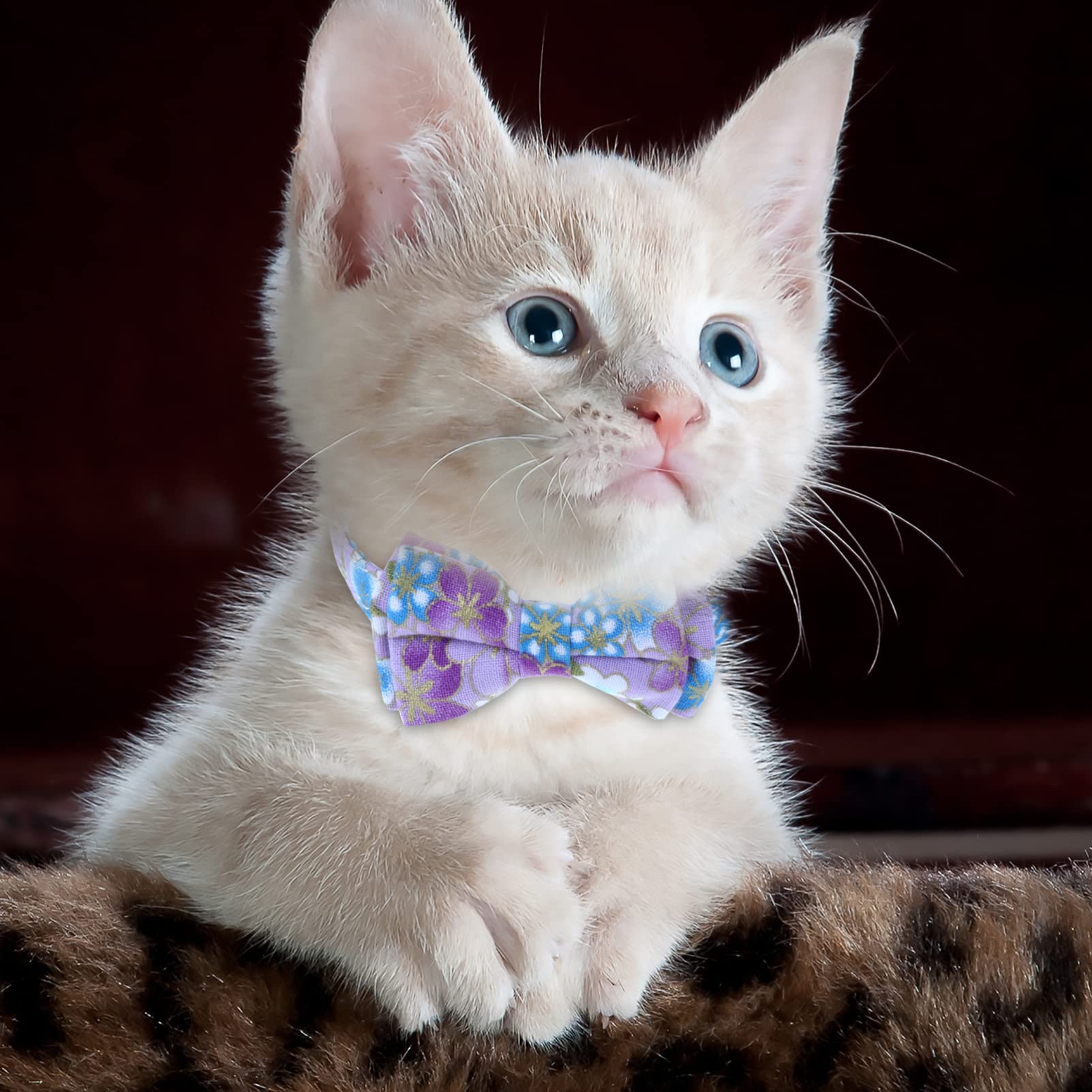 Supvox 9stücke Katzenhalsband Mit Glöckchen Und Schleifen Verstellbar Atmungsaktives Design Bunte Farben Für Süße Und Auffällige Erscheinung Ihres