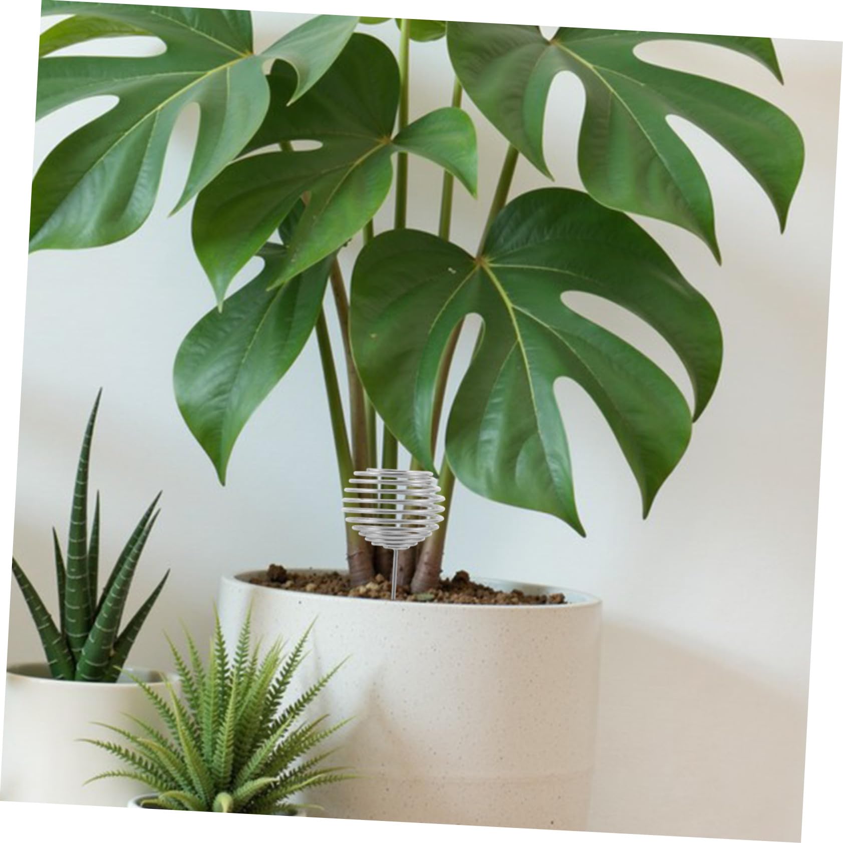 50 Stück Bonsai Düngerhalter aus Verzinkte Pflanzennährstoffkörbe mit Kontrollierter Nährstofffreisetzung für Orchideen Sukkulenten und Gartenpflanzen für Topfpflanzen und Outdoor