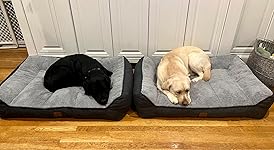 Review Image by Jim & Steph Jim & Steph