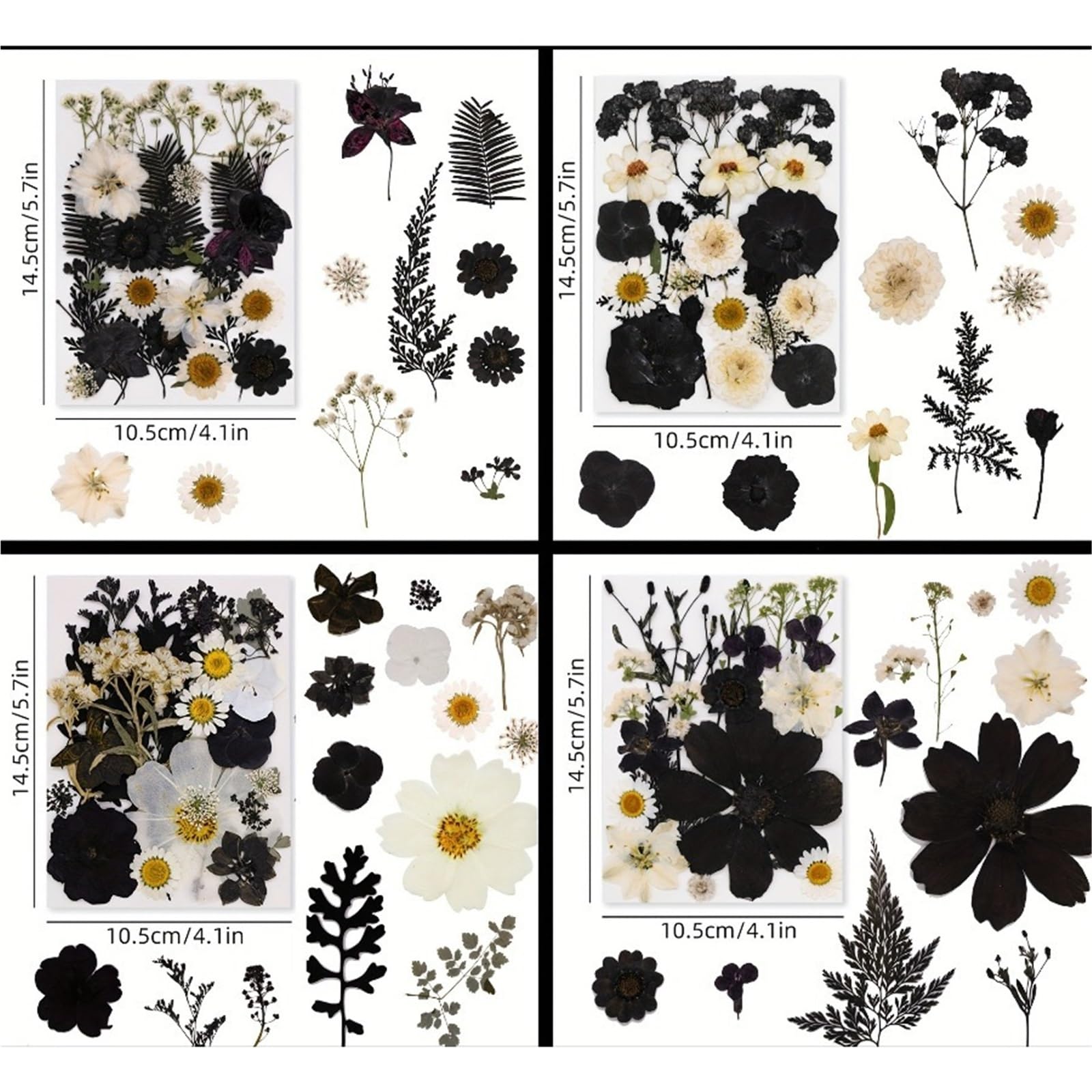 Flores Secas Prensadas Kit de artesanía Hojas Flores secas 4 Piezas