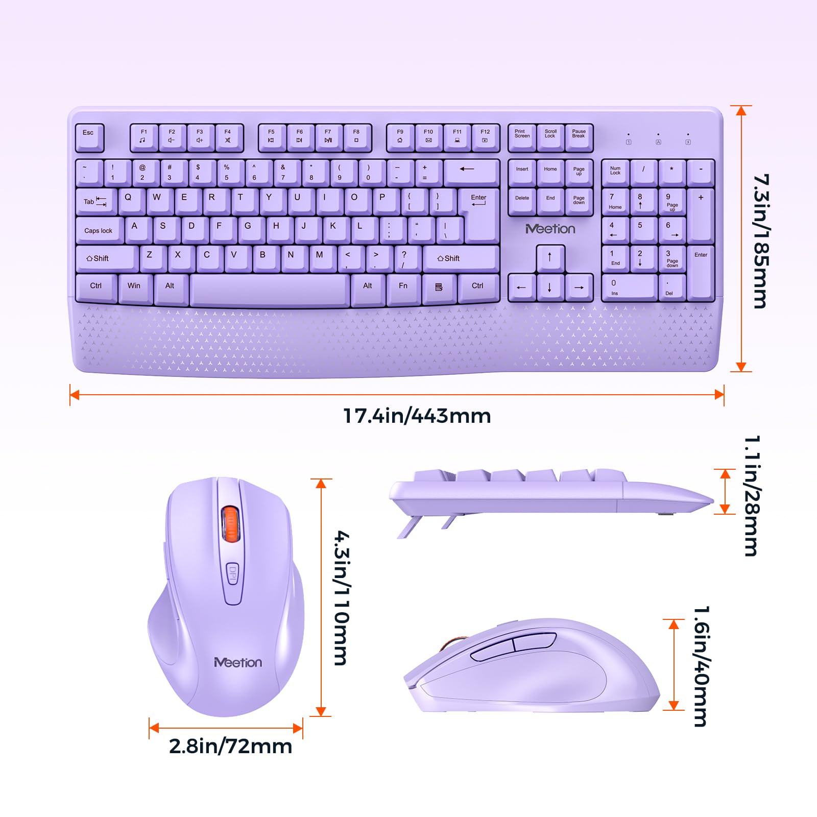 https://m.media-amazon.com/images/I/71GgGgiSaqL.jpg
