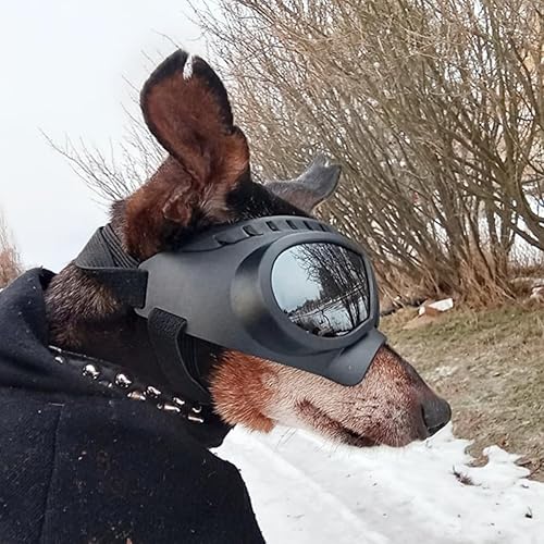 Miniatura 8 de Namsan Gafas de sol para perros de tamaño mediano y mediano con rayos UV, a prueba de viento, a prueba de nieve, marco suave, para protección de