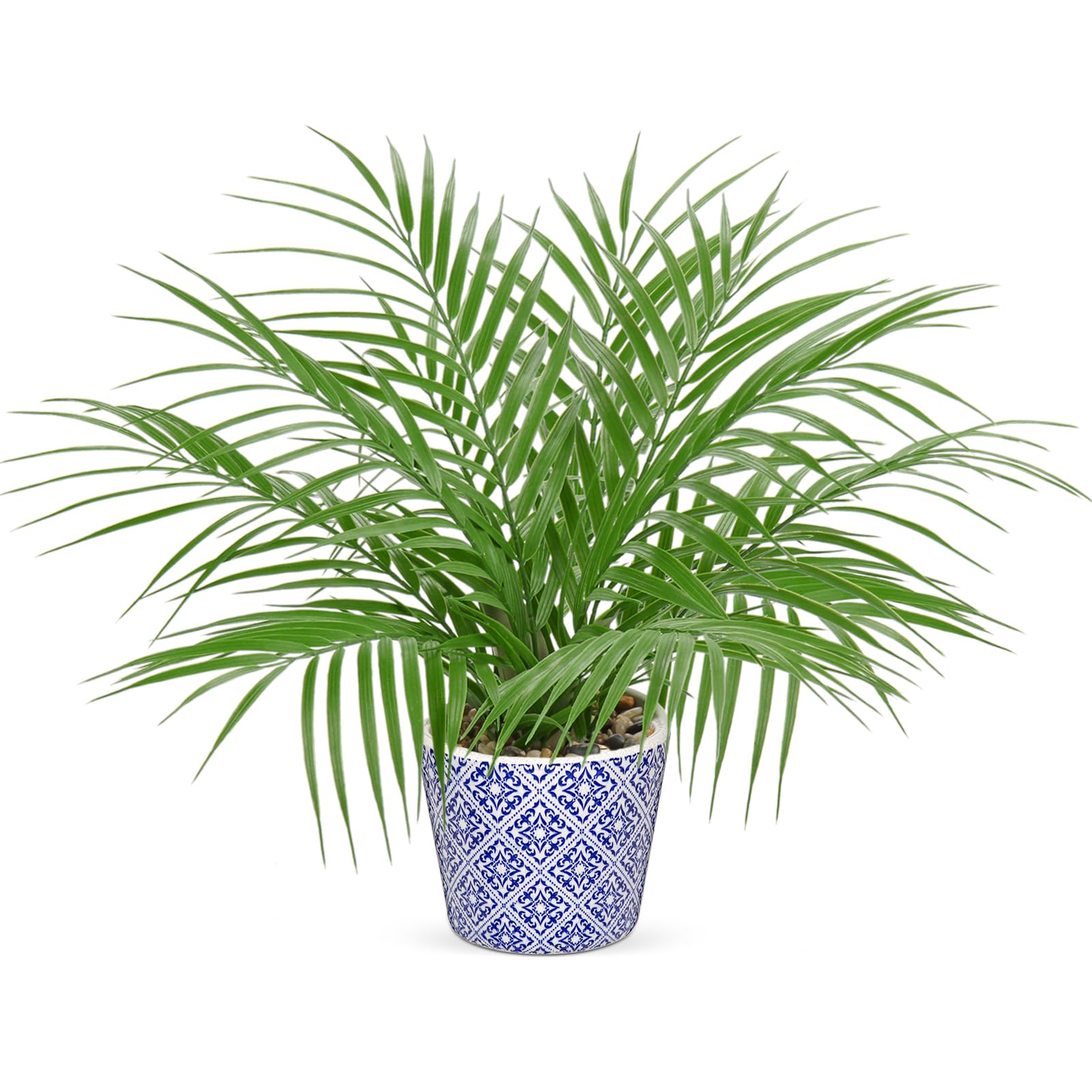 Hollyone Large Artificial Potted Plants Fake Palm Plants 16" Faux Green Plant Plastic Tropical Palm Tree in Blue and White Ceramic Pots Bohemian for