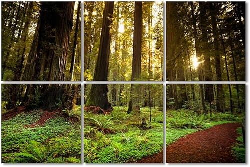 Paneles acústicos artísticos de secuoya para rastro a través de árboles en el bosque, imágenes de secuoyas, paquete de 6 paneles decorativos de
