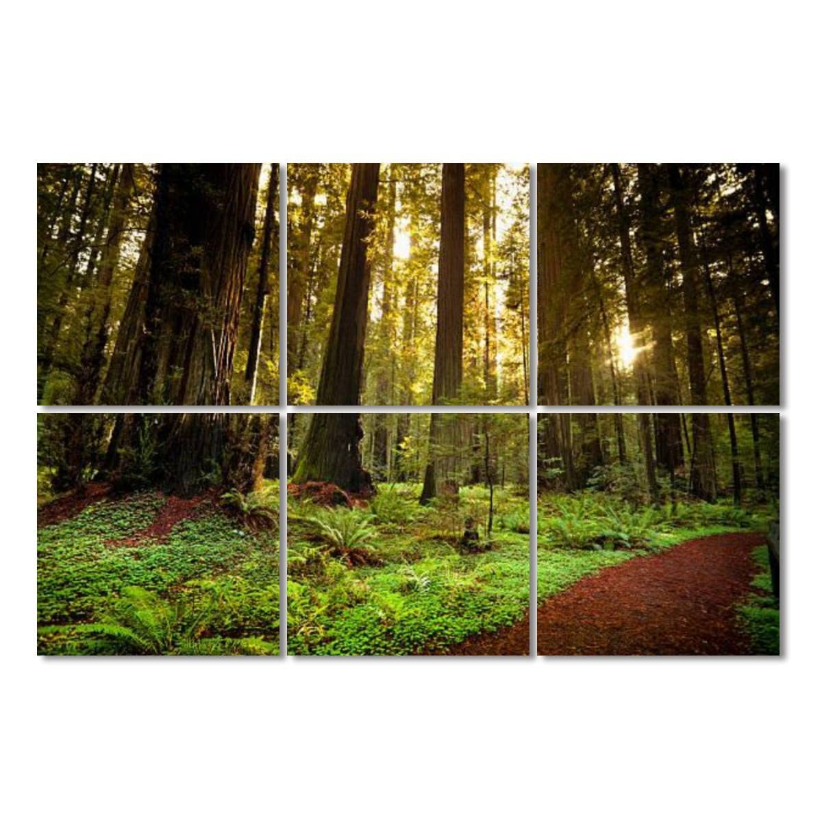 Art Acoustic Panels redwood trail through trees in the forest sequoiass pictures 6 Pack Decorative Sound Absorbing Wall Panel Noise Canceling Soundproof Padding for Home & Office, 72