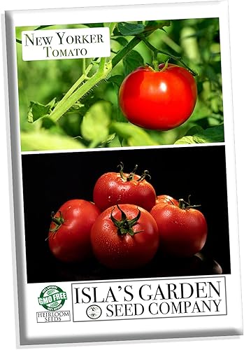 Semillas de tomate New Yorker para plantar, más de 100 semillas de reliquia por paquete, semillas de jardín de Isla (semillas de jardín de Isla),