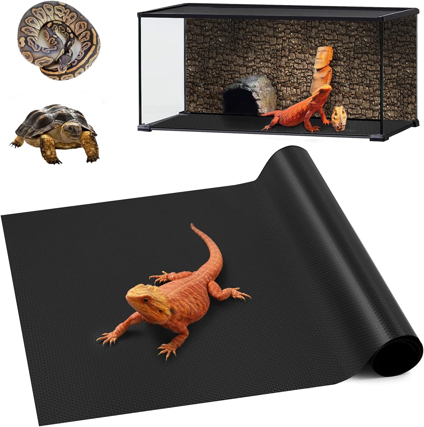 Duedusto Bearded Dragon Tank Accessories, Reptile