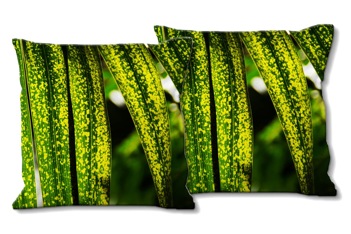 Blattwerk 1 - Foto-Kissen-Hülle Set (2 STK.) 40 x 40 cm | Kissen-Bezüge - passend zu Wandbild - Deko-Kissen - Pflanze Blätter Natur Garten Botanik Palme