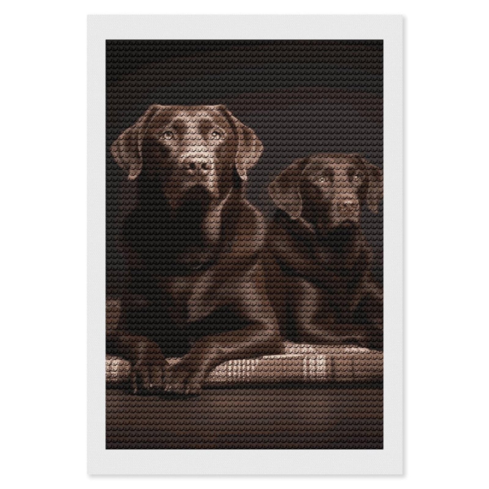 JTKBNVM Brown Labrador Retriever 5D Diamond Painting Kits for Adults Beginners Diamond Art Kit DIY Round Full Drill Diamond Dots Paintings Gem Art Kits and DIY Crafts for Home Wall Decor 8"x12"