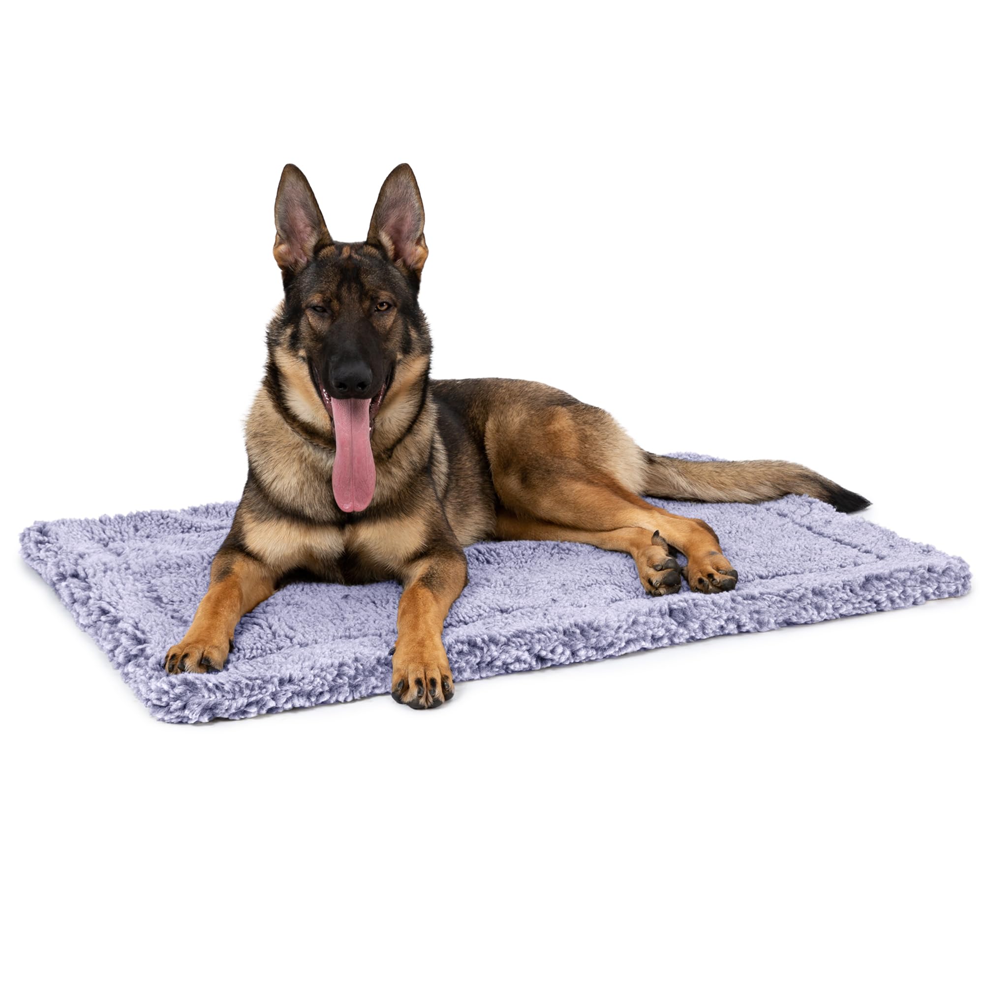PELZIN Stoutwool Indestructible Dog Bed - Fluffy Chew Proof Dog Crate Pad - Tough Dog Kennel Pad for Aggressive Chewers - Ideal for Extra Large Dog Breeds & Fits 48-Inch Crate - 47"x29", Jacaranda