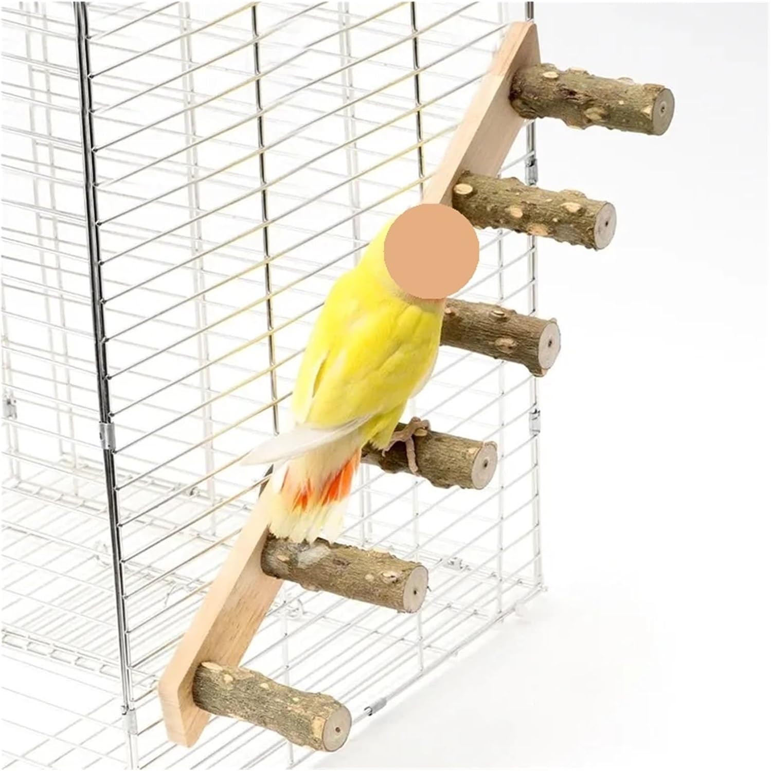 Genérico Wood Bird Ladder Perch for Claw Grinding Exercise Climbing Toy with Sturdy Branch Easy Install Accessories(6 Steps)