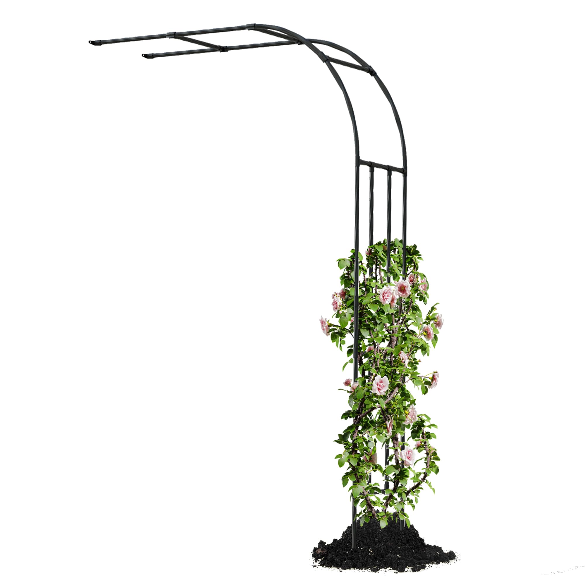 Caroeas Demi Arche de Jardin pour Plantes Grimpantes,120x240x40cm，Arceau Métallique pour Rosiers, Tonnelle Décorative Extérieure, Résistante à la Rouille et à la Décoloration