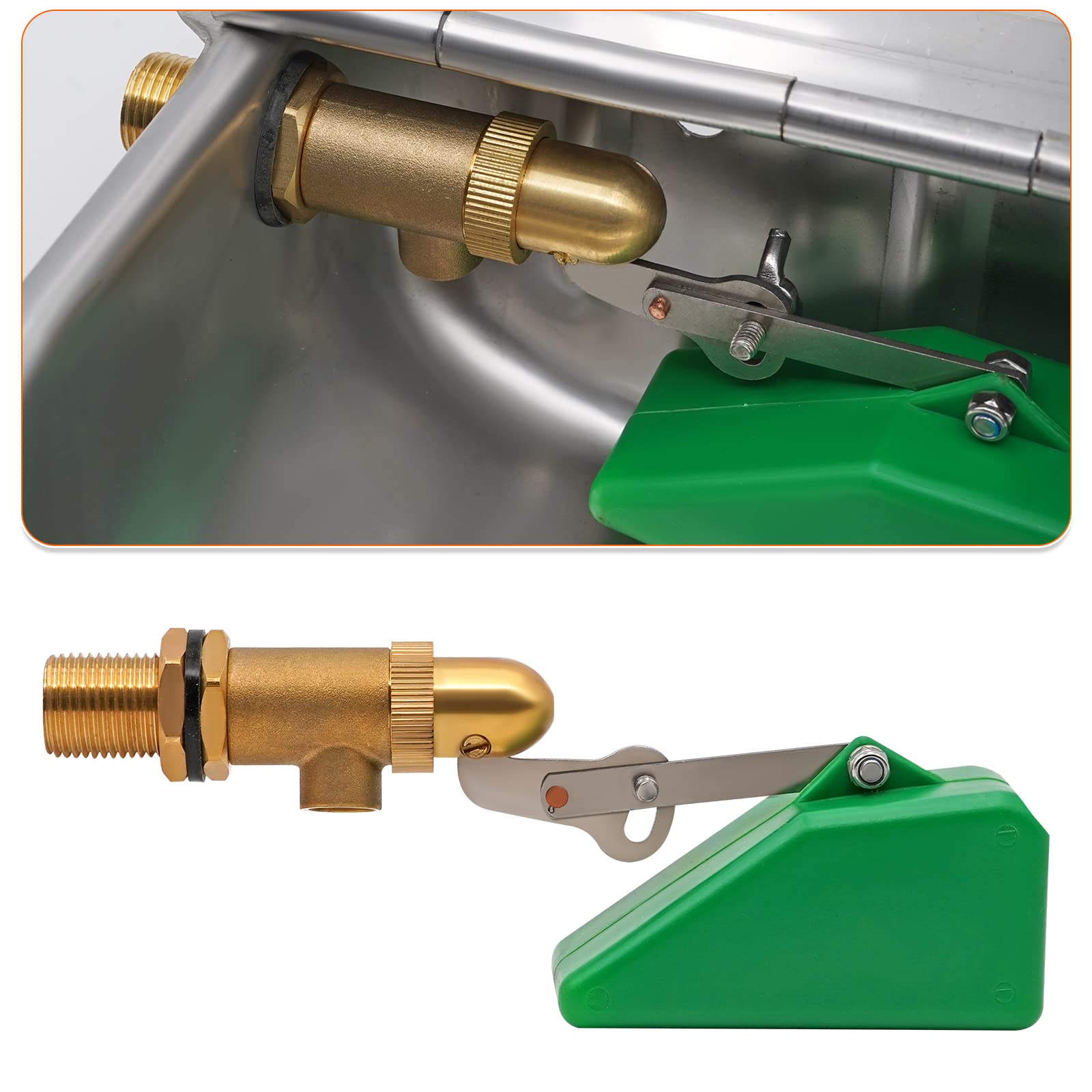 Abreuvoir Automatique en Acier Inoxydable avec Flotteur Valve Laiton 2 Pièces Bouchon Vidange pour Bétail