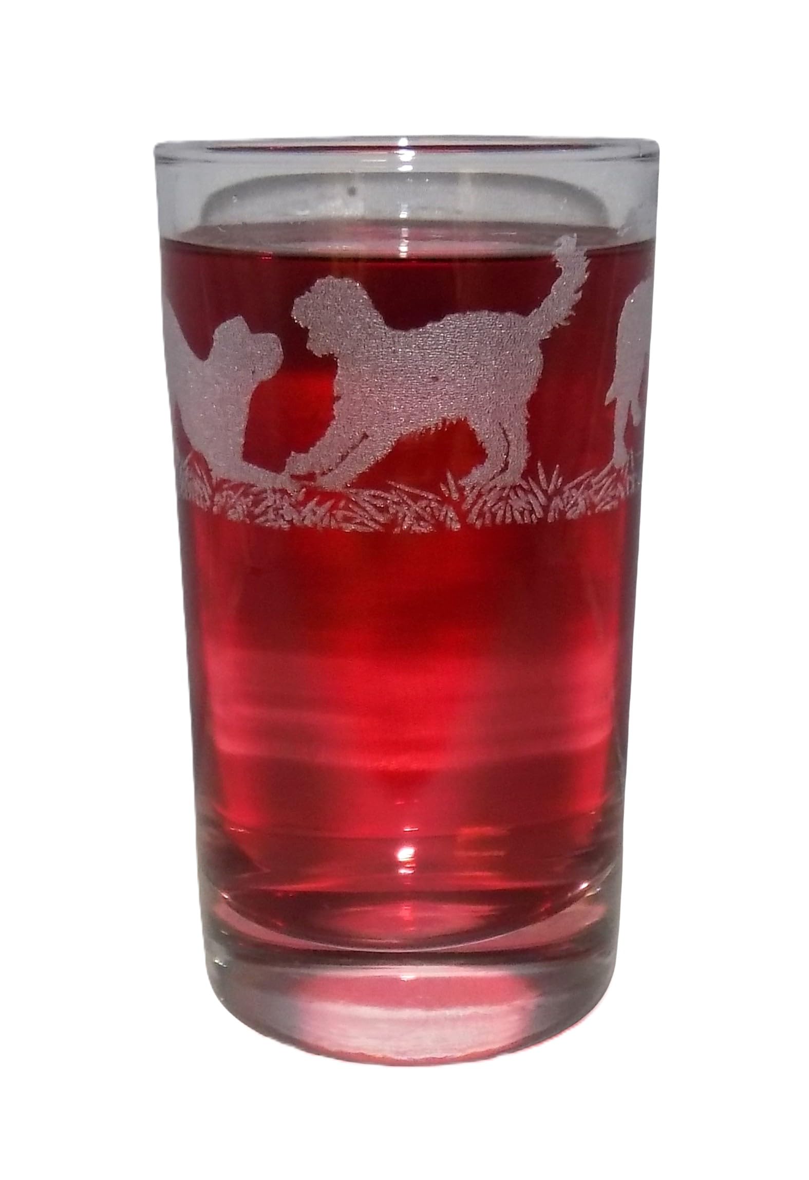 Labradoodle Engraved Highball Tumbler — image 1