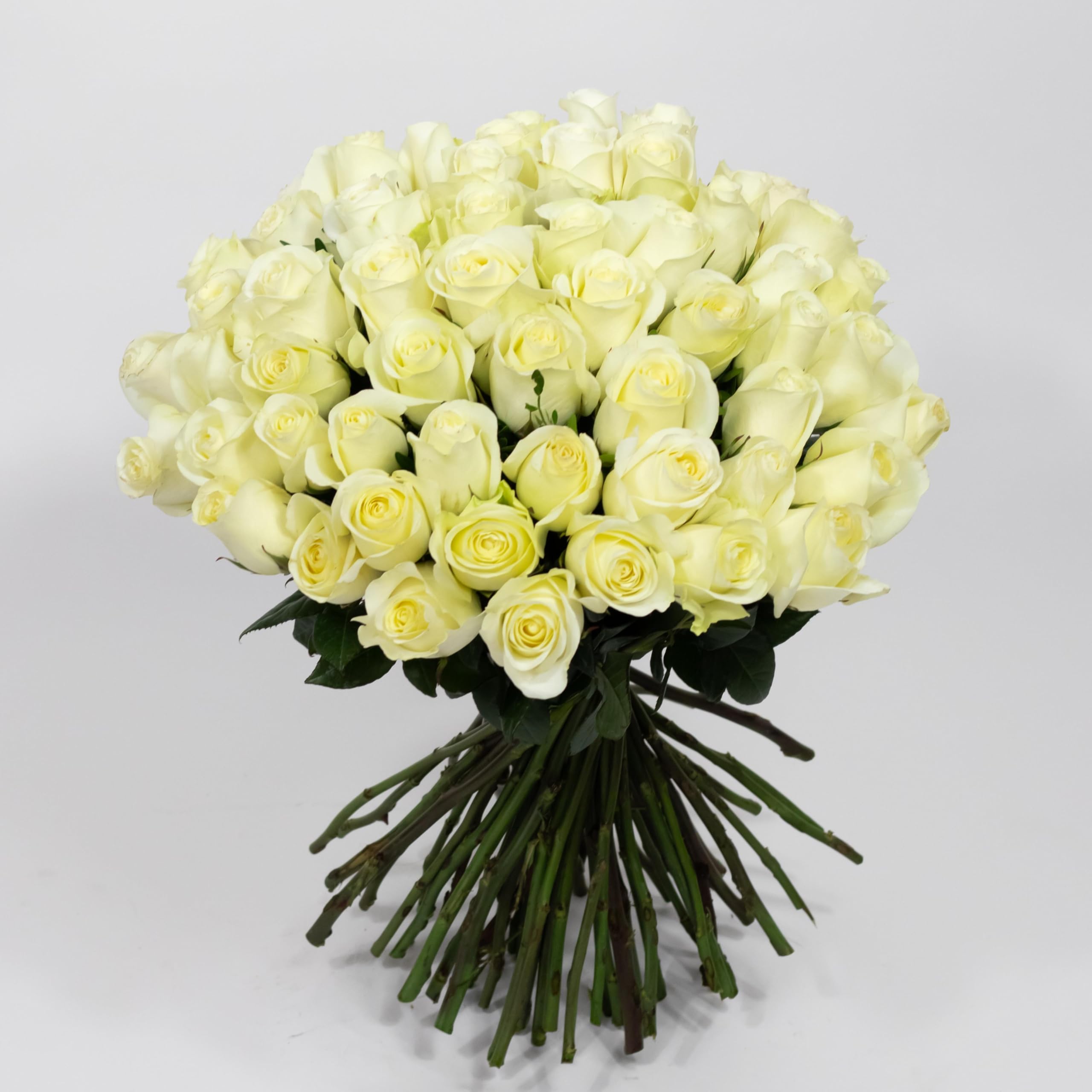 Luna Flowers Fresh 50 Roses Bouquet – Premium Floral Arrangements, Wrapped Bouquet for Delivery | Birthday, Anniversary, Valentine’s Day, Wedding,