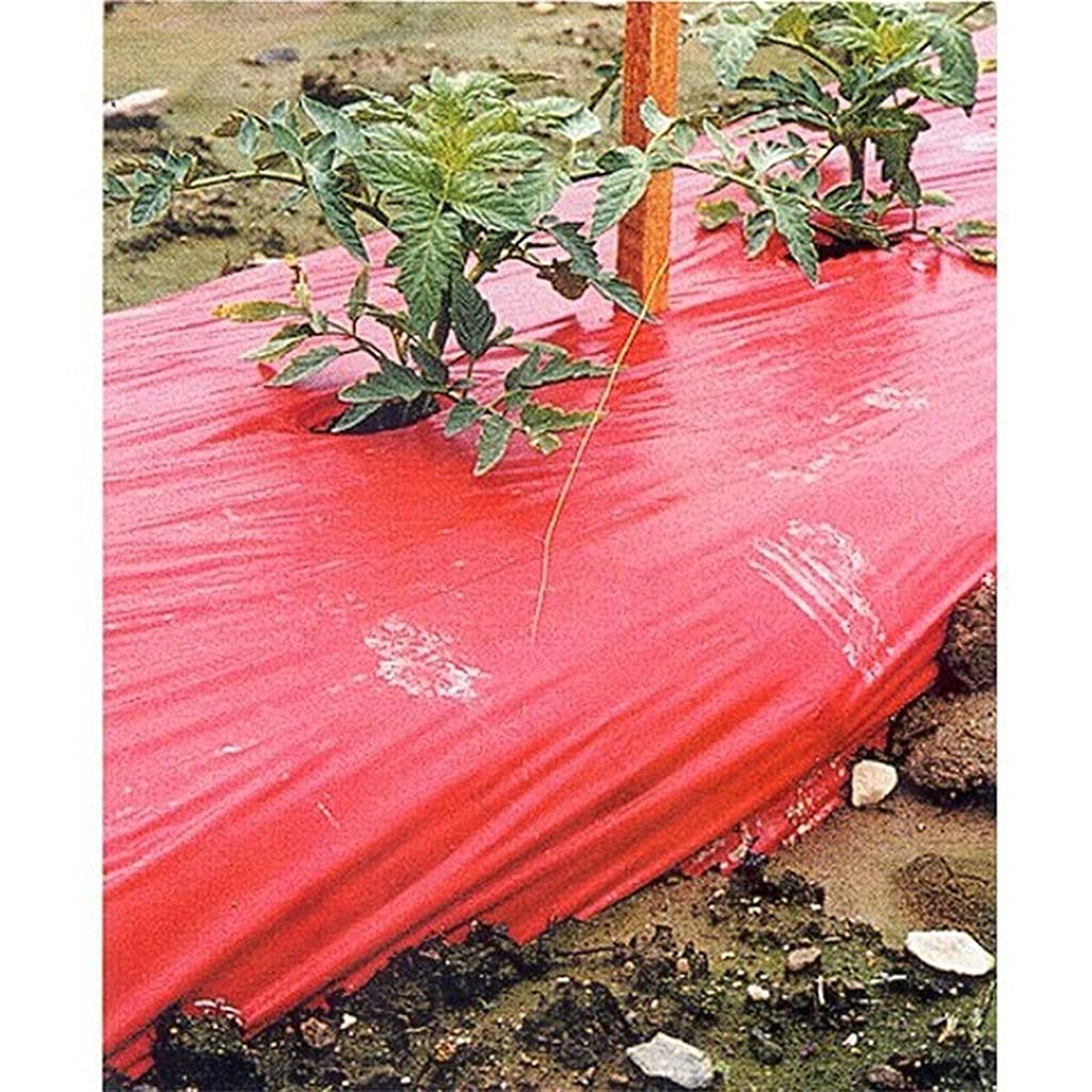 Pflanzliche Kunststofffolie gelocht, 5~50 m rote Pflanzmulchfolie, effizientere Folie for Anbau von Gemüsepflanzen, Folie zur Pflanzenpflege im Gewächshaus, Landwirtschaftsfolie, 1 Stück(15Meters)