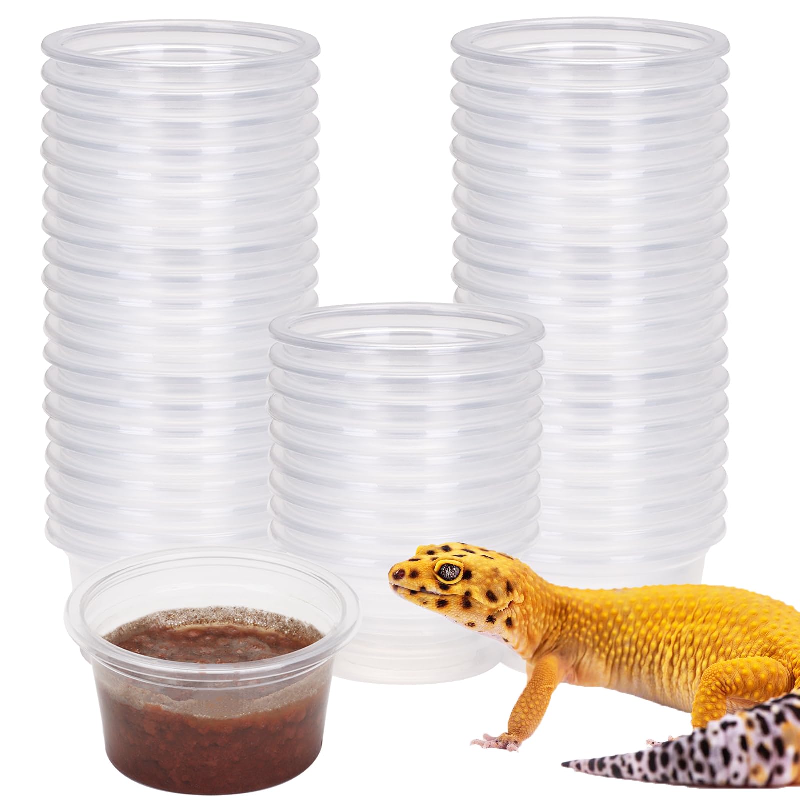 AIICIOO Gecko Feeder Ledge Cup Plastic Bowls Strong Magnetic Reptile Food Feeder Water Dish 50 Pack 1oz