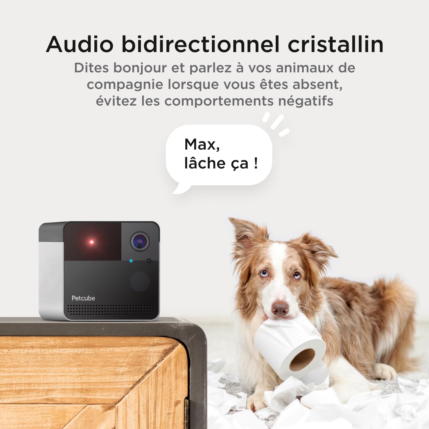 Caméra Wi-Fi Petcube Play 2 pour animaux avec jouet laser, vidéo HD 1080P, vue 160°, audio bidirectionnel, alertes IA, vision nocturne, surveillance