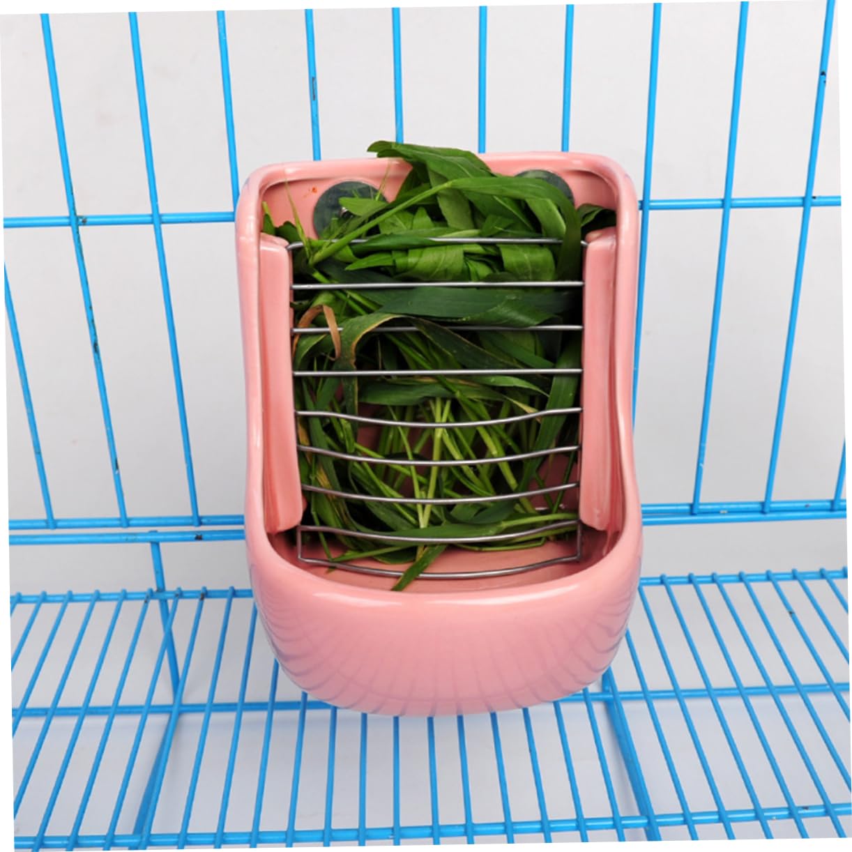 GALPADA 1pièce Râtelier à Herbe Céramique pour Rongeurs Bol De Nourriture pour Chinchilla Et Lapin Fixation Rose