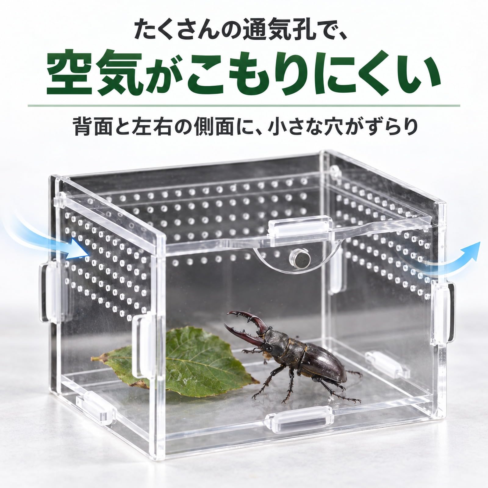 Amazon | ateena 爬虫類 ケージ 飼育ケース 水槽 レプタイル 飼育 Amazon | ateena 爬虫類 ケージ 飼育ケース 水槽 レプタイル 飼育