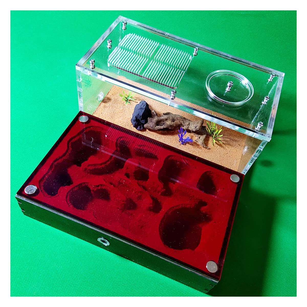 ZHL Granja Hormigas Yeso Nido Hormigas Acrílica Casa Insectos Tamaño Grande Caja Hormiguero Hormiga Villa para Alimentación Hormigas Hormigas Mania House para La Alimentación (Color : B)