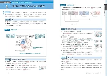 共通テスト 生物基礎 集中講義 改訂版 | 橋本 大樹 |本 | 通販