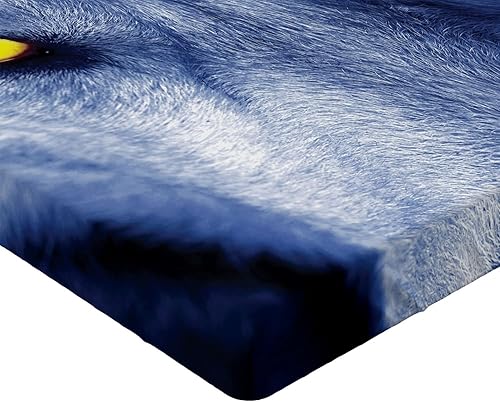 Miniatura 8 de Ambesonne Sábana bajera ajustable para campamento, diseño de guitarra y brújula de aventura con estampado de dibujos animados de bosque, funda de