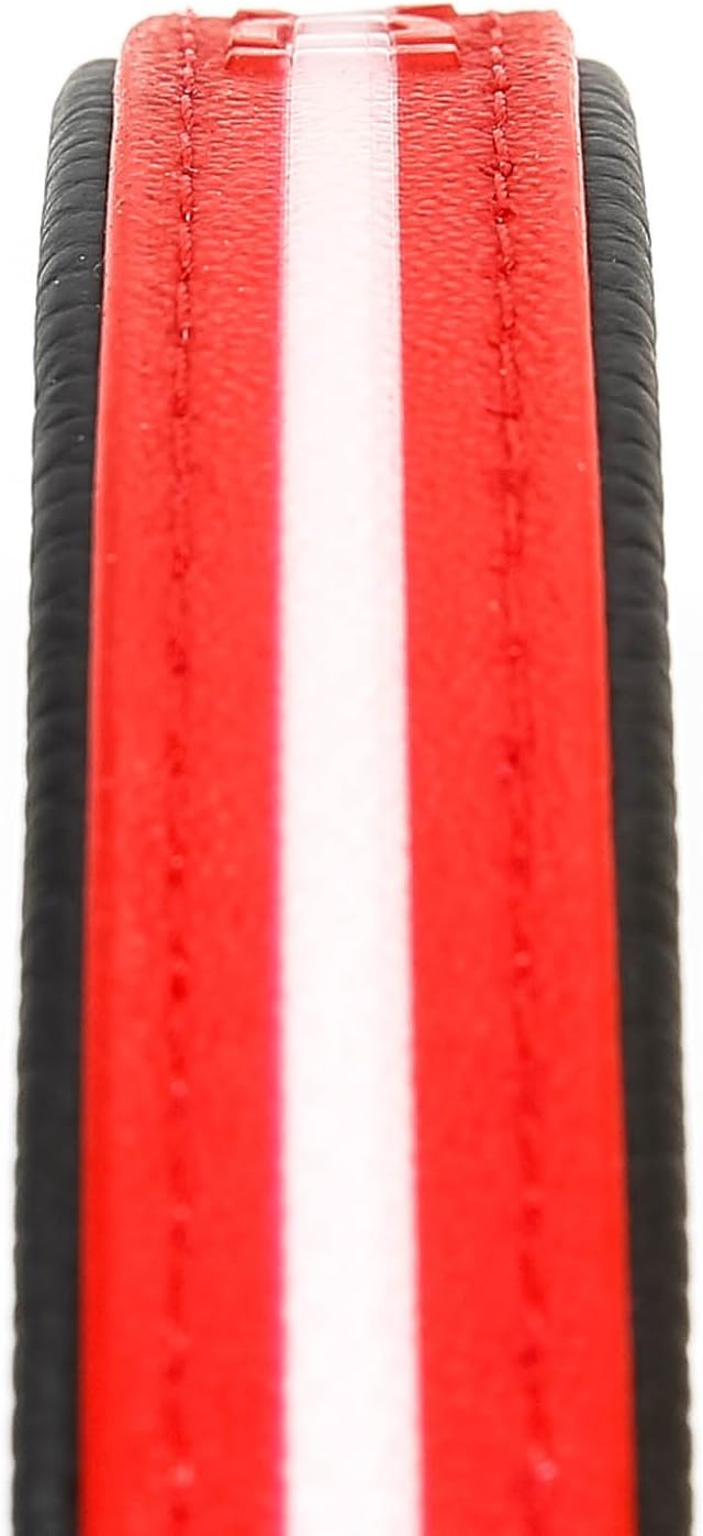Julius-K9 IDC Lumino Phosphorescent Collar, 25 mm x 70 cm, Red