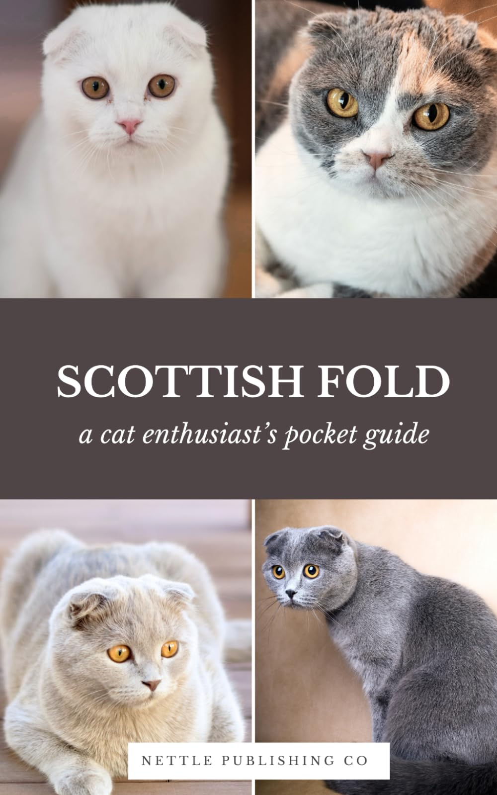 Scottish Fold Cats | A Complete Pocket Guide Book: Breed-Specific Care Handbook With Pet Passport with Records Logbook (Cat Breeds by Nettle Publishing Co)