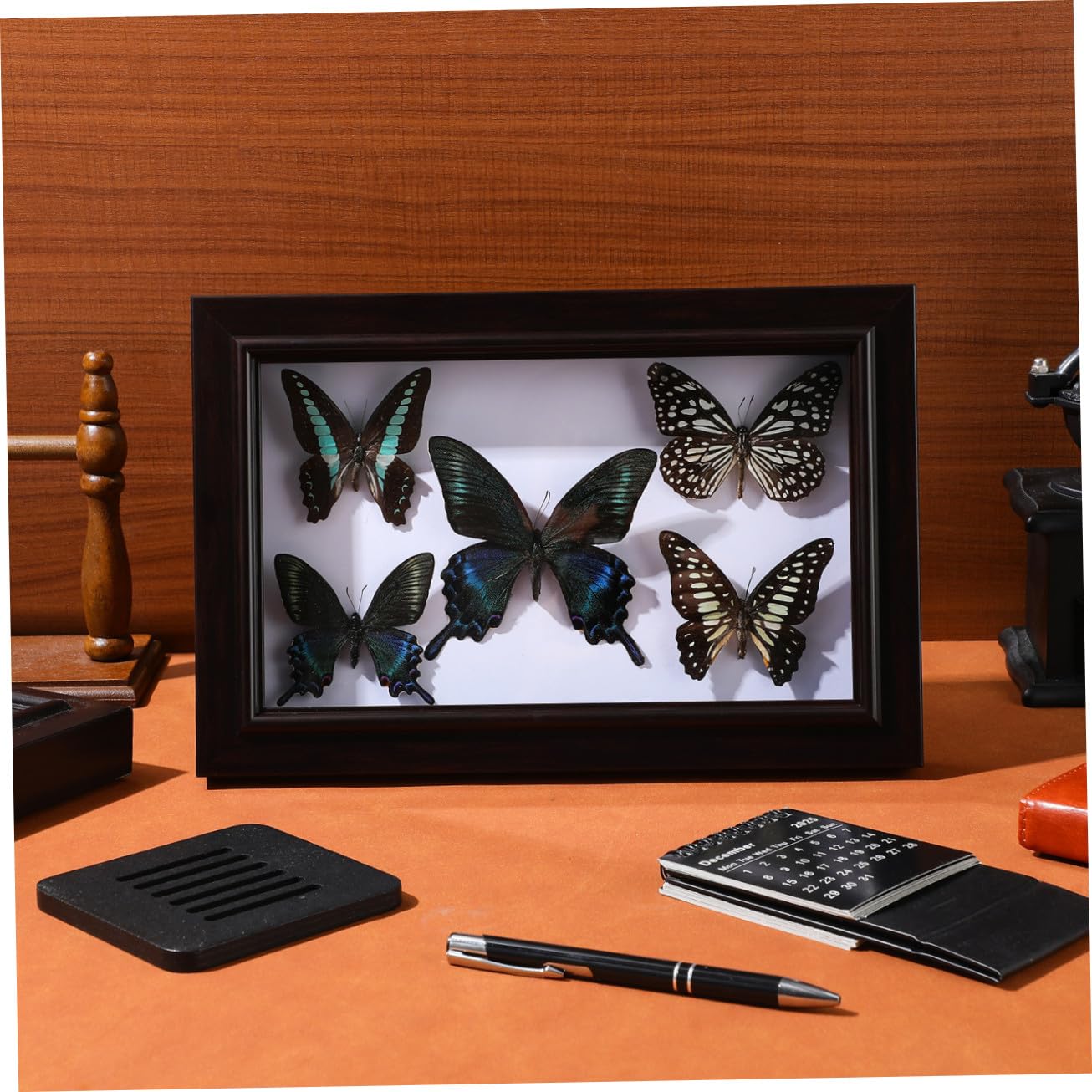 ERINGOGO Marco de Madera para Especímenes de Mariposas Decoración de Pared con Arte Mural de Mariposas Adorno Colgante para Sala de Estar Marco para Exhibir Especímenes Artesanía